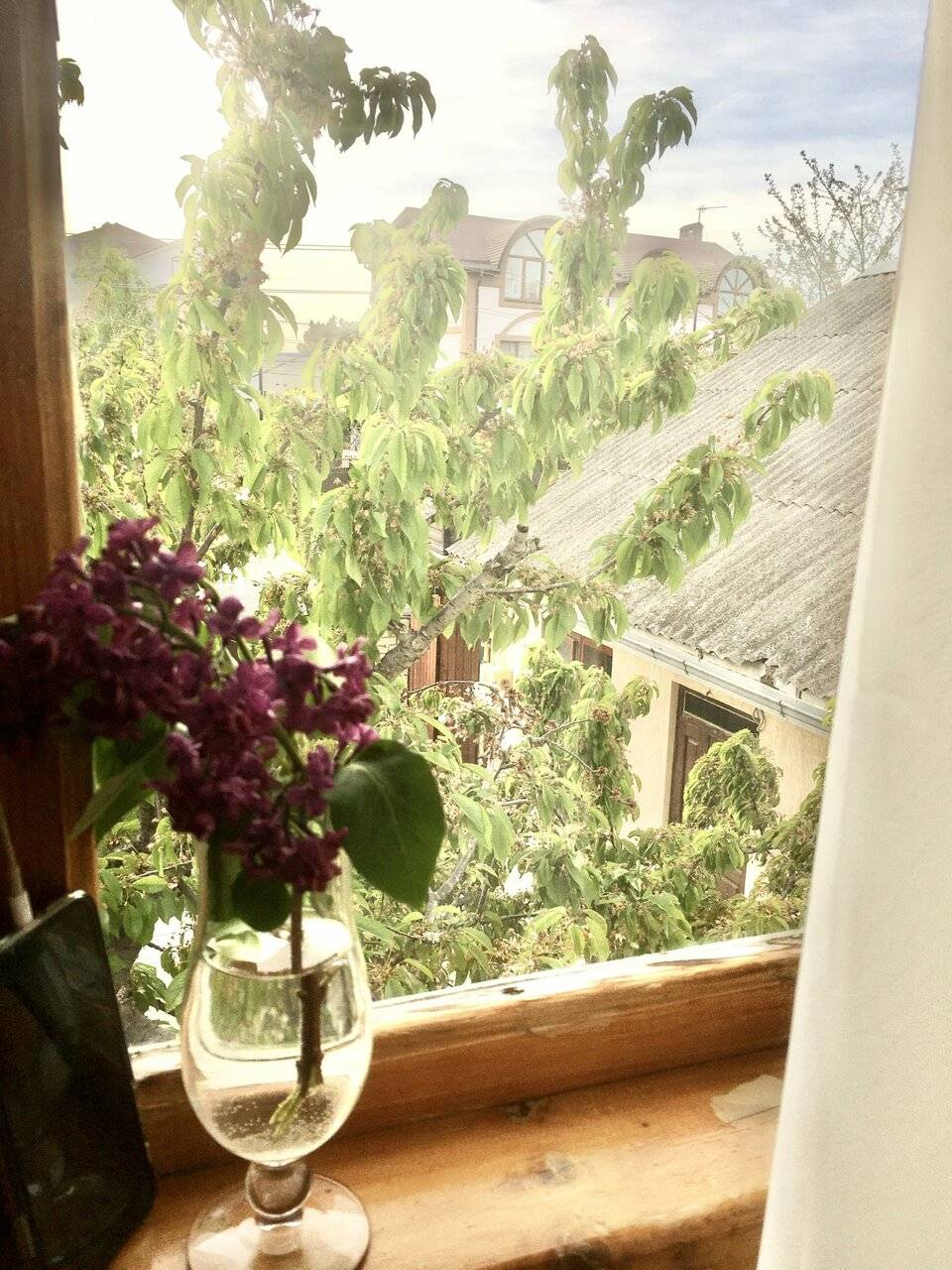 Фото Гостиницы Домик у моря Анапа 46