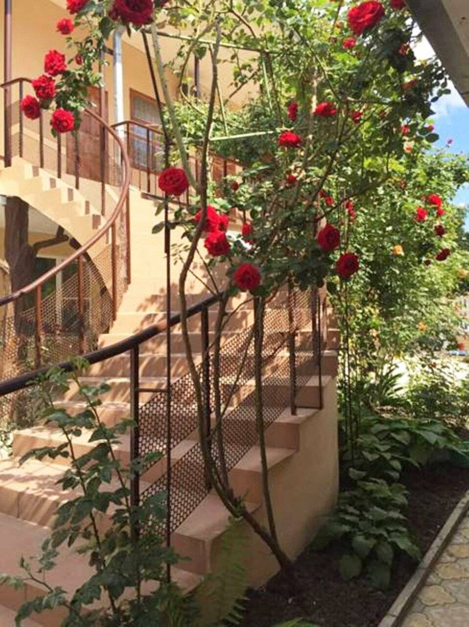 Фото Гостиницы Домик у моря Анапа 47