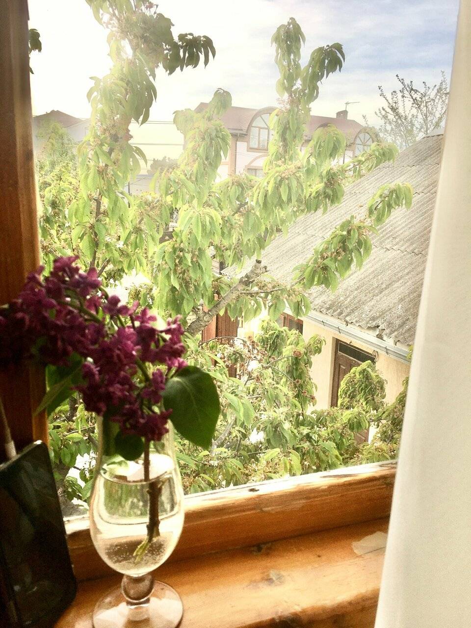 Фотографии номера Двухместный номер эконом-класса с 1 кроватью в Гостинице Домик у моря Анапа